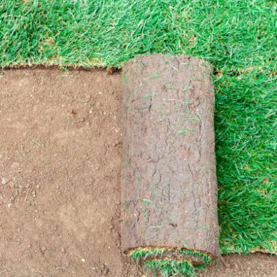 Soil coating with green rolls of a lawn