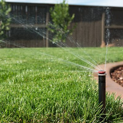 Sprinkler head spraying water on to green grass in backyard.